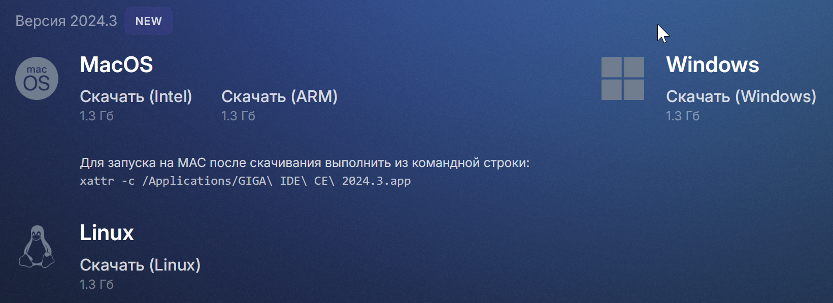 gigaide operation systems