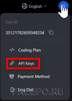 z.ai api key